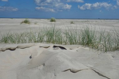 Alman baltrum Adası