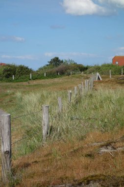 Alman baltrum Adası