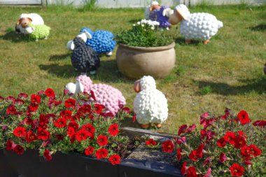 Alman baltrum Adası