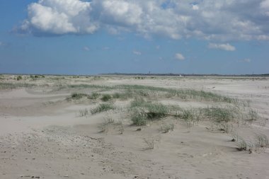 Alman baltrum Adası