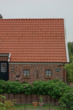 Alman baltrum Adası