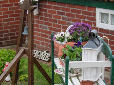 Alman baltrum Adası