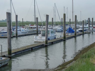 Alman baltrum Adası