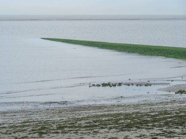 Alman baltrum Adası