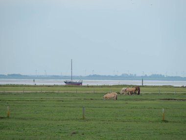 baltrum küçük ada