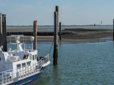 Alman baltrum Adası