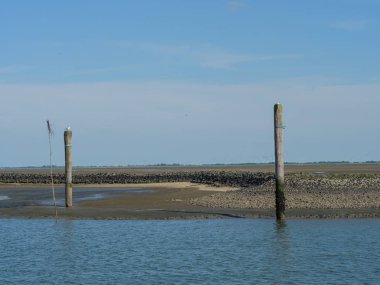 Alman baltrum Adası