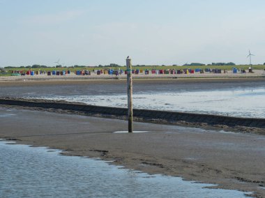 Alman baltrum Adası