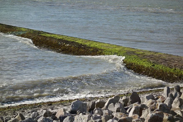 Isla Alemana Baltrum — Foto de Stock