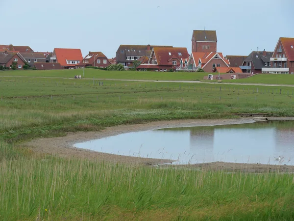 Île Allemande Baltrum — Photo