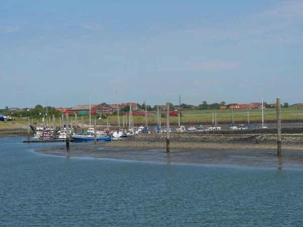 Petite Île Baltrum — Photo