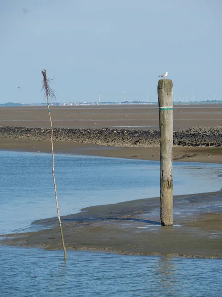 Ilha Alemã Baltrum — Fotografia de Stock