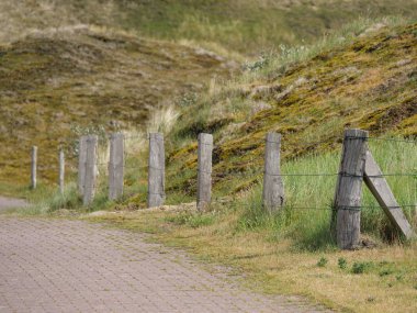 Alman baltrum Adası