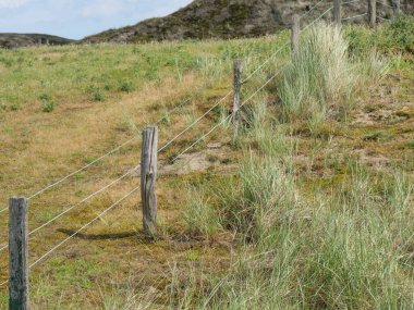 Alman baltrum Adası