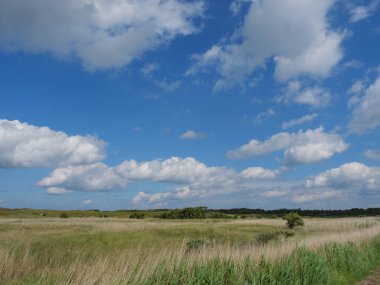 Alman baltrum Adası