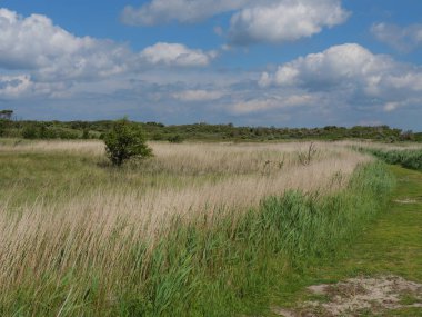 Alman baltrum Adası