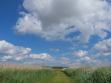 Alman baltrum Adası