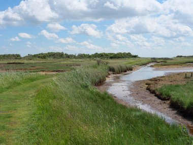 Alman baltrum Adası