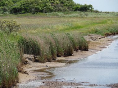 Alman baltrum Adası