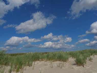 Alman baltrum Adası