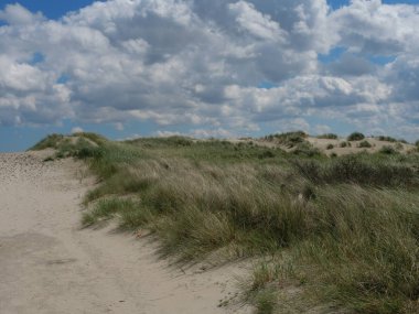 Alman baltrum Adası