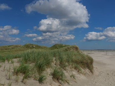 Alman baltrum Adası