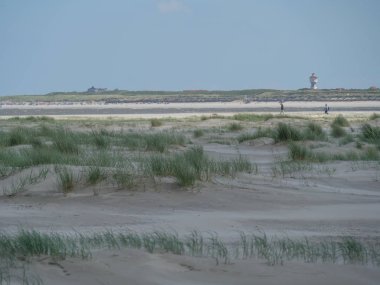 Alman baltrum Adası