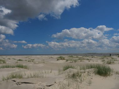 Alman baltrum Adası