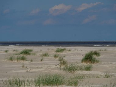 Alman baltrum Adası
