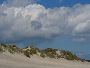 Alman baltrum Adası