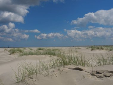 Alman baltrum Adası