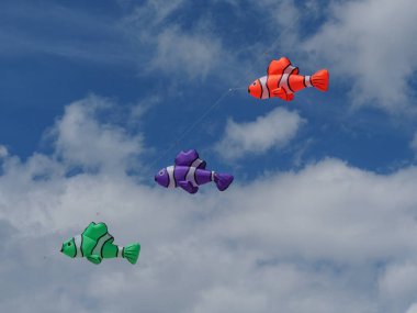 Kuzey denizindeki Alman Baltrum Adası.