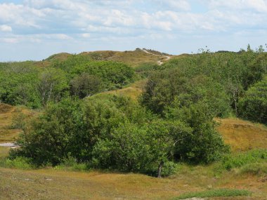 Kuzey denizindeki Alman Baltrum Adası.