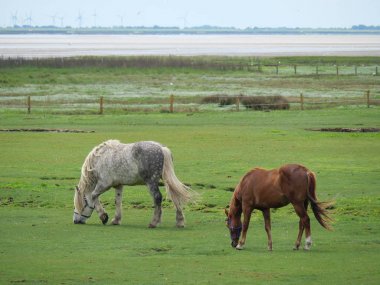 Kuzey denizindeki Alman Baltrum Adası.