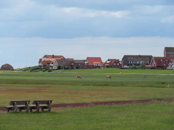 Île Allemande Baltrum Dans Mer Nord — Photo