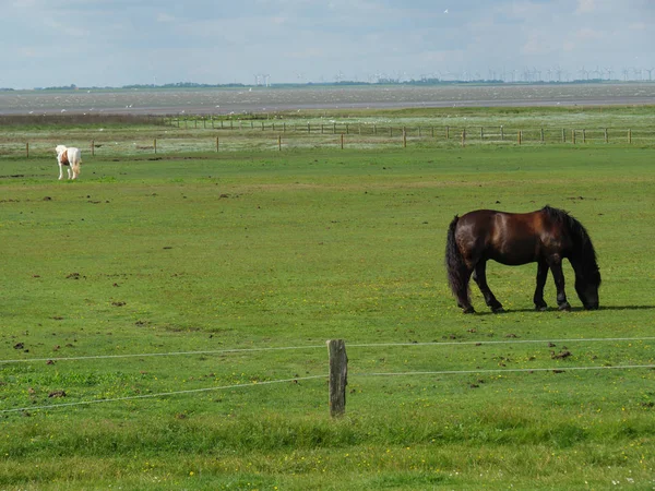 Die Insel Baltrum Deutschland — Stockfoto