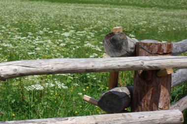 Alman ve Avusturya Alpleri'nde yaz yürüyüşü