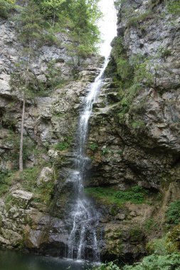Alman ve Avusturya Alpleri'nde yaz yürüyüşü