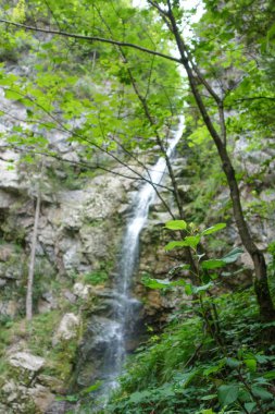 Alman ve Avusturya Alpleri'nde yaz yürüyüşü