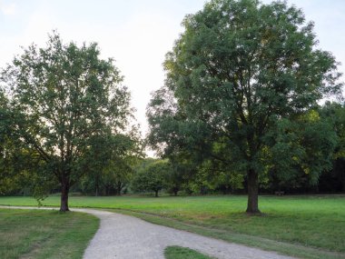 almanya'da gölde akşam