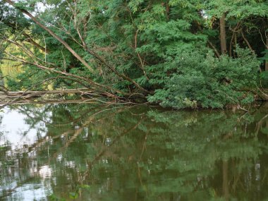 almanya'da gölde akşam