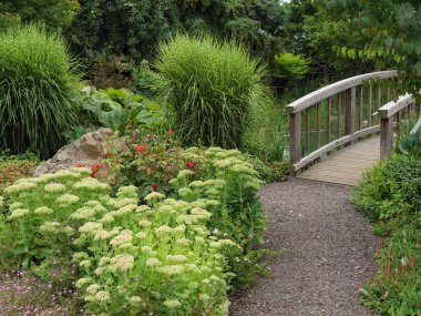 Bir Alman bahçesinde yaz mevsimi