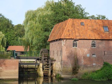Hollanda'da su değirmeni ve Buffalolar