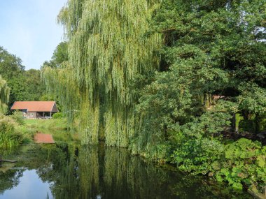 Hollanda'da su değirmeni ve Buffalolar