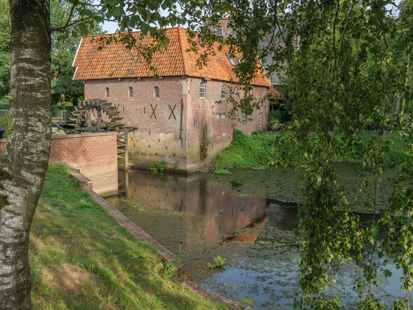 Wassermühle Und Büffel Den Niederlanden — Stockfoto