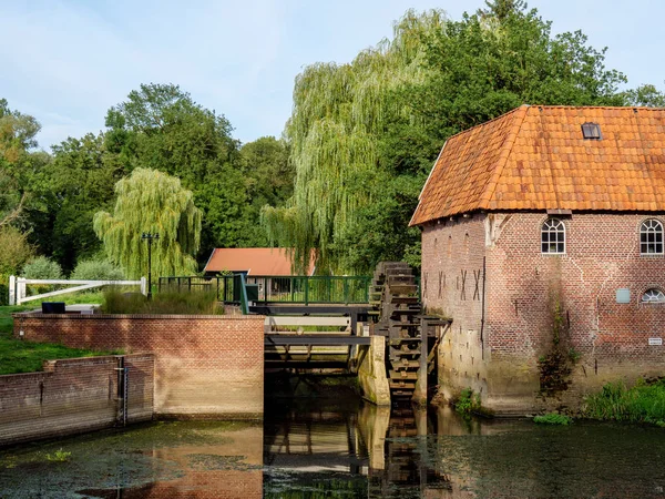 Wassermühle Und Büffel Den Niederlanden — Stockfoto