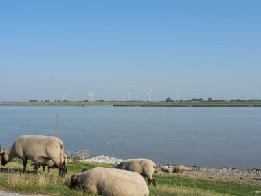 Almanya'da nehir ems de ditzum köyü
