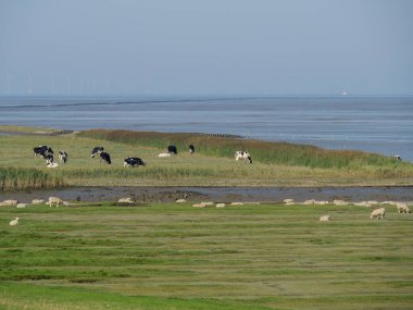Almanya'da nehir ems de ditzum köyü