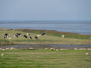 Almanya'da nehir ems de ditzum köyü