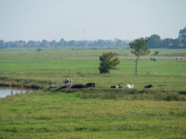 Almanya'da nehir ems de ditzum köyü